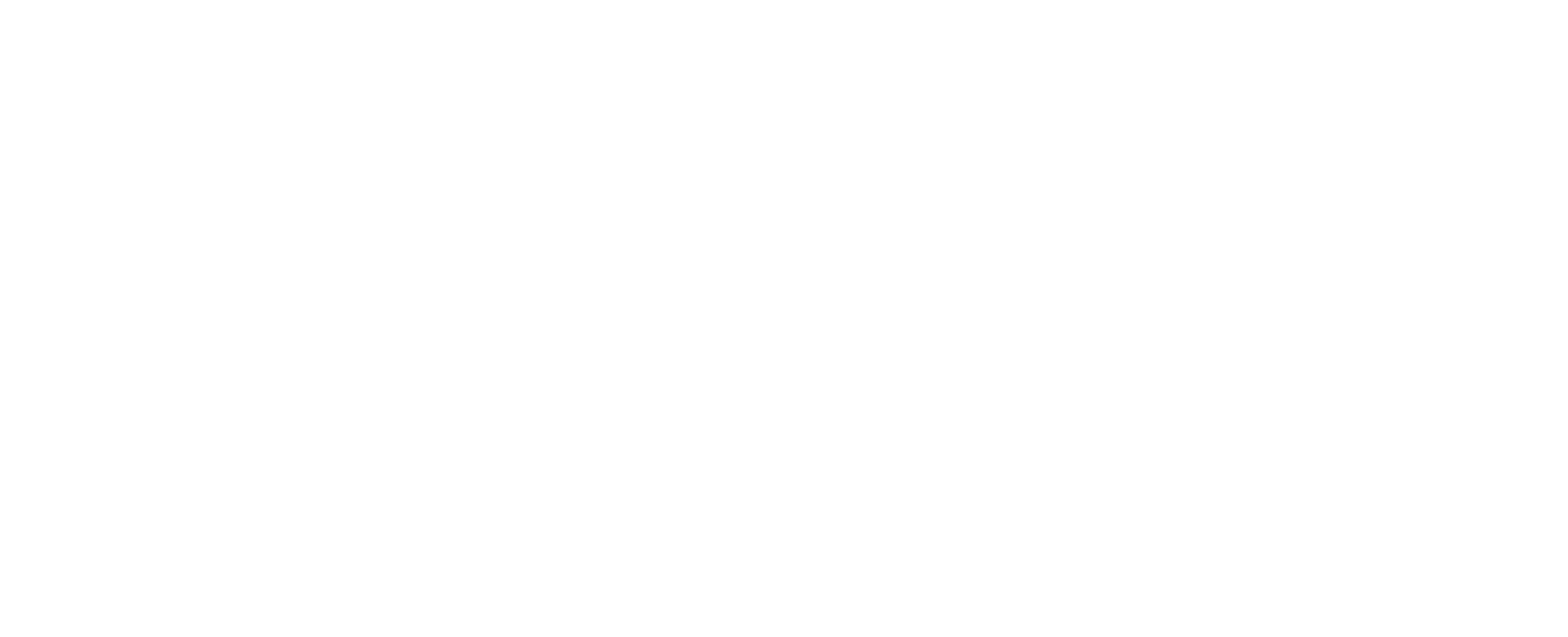 Sentinel Transportation logo